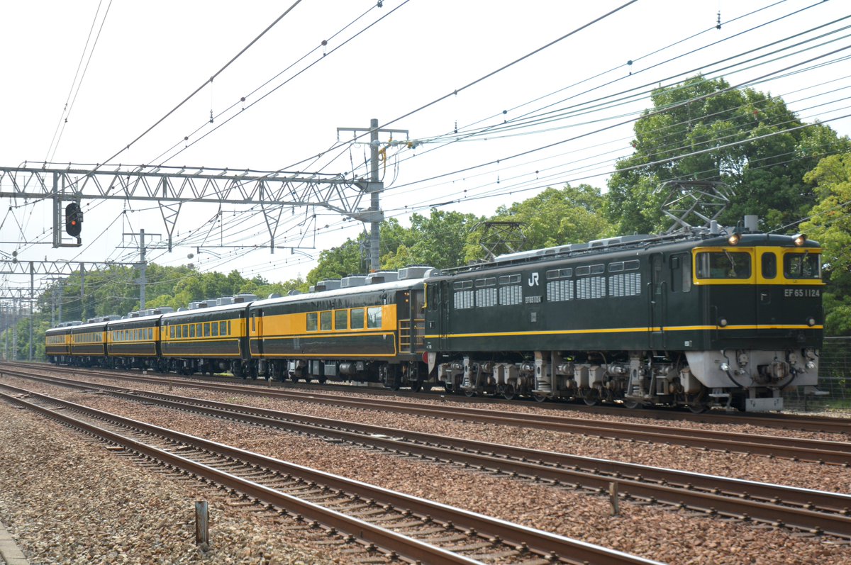 SokuseiNissy's tweet photo. 6/21(土)　９３０３レ　ＥＦ６５１１２４(関) + １４系サロンカーなにわ５Ｂ　サロンカー晴れの国おかやま号 

私も往路のみ撮りました。もう見れないとなると寂しいですね。 https://t.co/BsuNPQK2lF