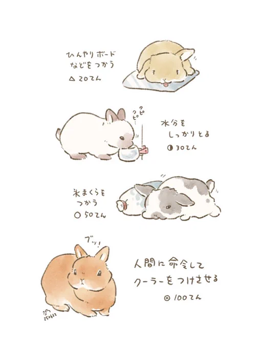 🐰暑さ対策!(推奨環境120点以上) 