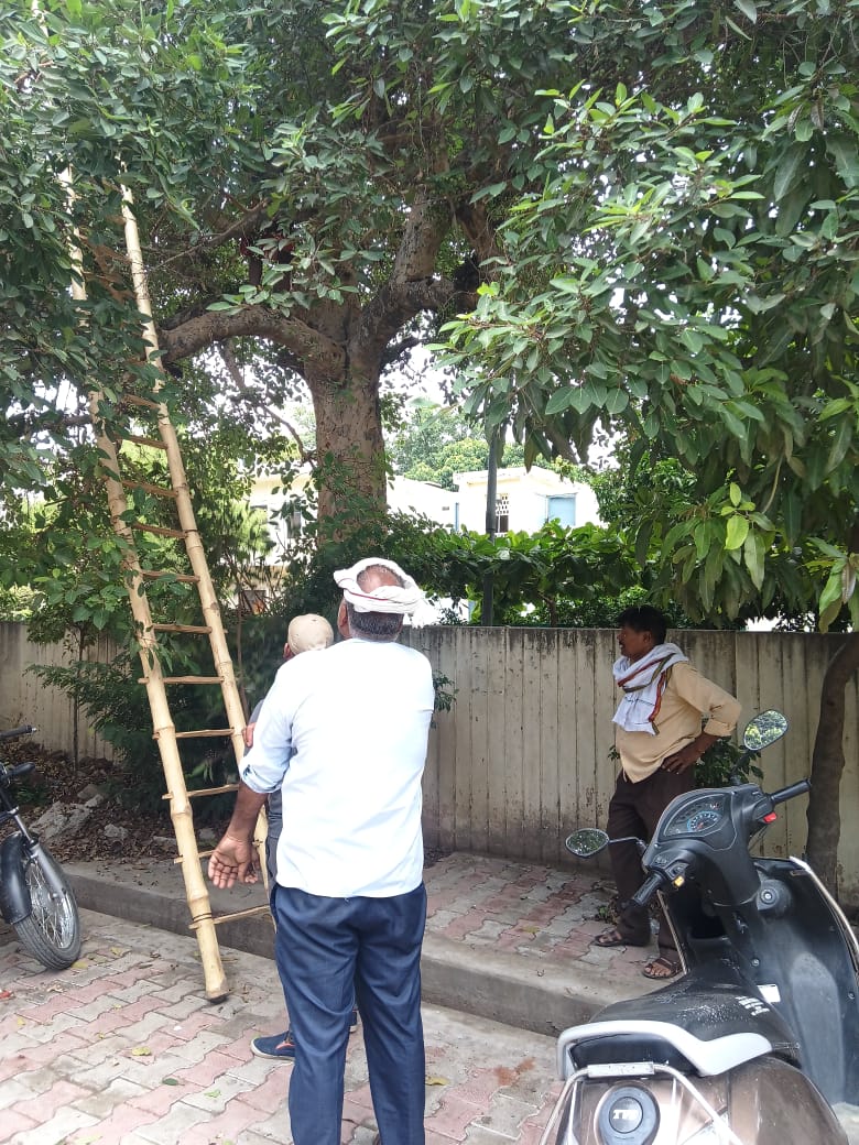 PUVVNL Varanasi (@puvvnlvaranasi) on Twitter photo #Maintenance
#рд▓рдХреНрд╖реНрдп_24X7_рдЙрдкрднреЛрдХреНрддрд╛_рд╕реЗрд╡рд╛
рди.рд╡рд┐.рд╡рд┐.рдЦрдгреНрдб-рдордврд╝реМрд▓реА рд╡рд╛рд░рд╛рдгрд╕реА рдХреЗ рд░рд╛рдиреАрдкреБрд░ рдЙрдкрдХреЗрдиреНрджреНрд░ рдХреЗ рдЕрдВрддрд░реНрдЧрдд рдХрд╛рд░реНрдорд┐рдХреЛрдВ рджреНрд╡рд╛рд░рд╛ рдУрд╡рд░рд╣реЗрдб рдХреЗ рддрд╛рд░реЛрдВ рдкрд░ рдкреЗрдбрд╝ рдХреА рдХрдЯрд╛рдИ рдПрд╡рдВ рдХреЗрдмрд▓ рдХреЛ рдЯрд╛рдИрдЯ рдХрд┐рдпрд╛ рдЧрдпрд╛ред
рдЬрд┐рд╕рд╕реЗ рд╕реНрдкрд╛рд░реНрдХрд┐рдВрдЧ рд╕реЗ рдХреЛрдИ рдЖрдЧ рдирд╣реАрдВ рд▓рдЧреЗред
<a href="/aksharmaBharat/">A K Sharma</a> <a href="/ChairmanUppcl/">Chairman Uppcl</a> <a href="/mduppcl/">MDUPPCL</a>
<a href="/UPPCLLKO/">UPPCL</a> <a href="/PuVVNLHQ/">Purvanchal Vidyut Vitaran Nigam Limited</a> #Maintenance
#рд▓рдХреНрд╖реНрдп_24X7_рдЙрдкрднреЛрдХреНрддрд╛_рд╕реЗрд╡рд╛
рди.рд╡рд┐.рд╡рд┐.рдЦрдгреНрдб-рдордврд╝реМрд▓реА рд╡рд╛рд░рд╛рдгрд╕реА рдХреЗ рд░рд╛рдиреАрдкреБрд░ рдЙрдкрдХреЗрдиреНрджреНрд░ рдХреЗ рдЕрдВрддрд░реНрдЧрдд рдХрд╛рд░реНрдорд┐рдХреЛрдВ рджреНрд╡рд╛рд░рд╛ рдУрд╡рд░рд╣реЗрдб рдХреЗ рддрд╛рд░реЛрдВ рдкрд░ рдкреЗрдбрд╝ рдХреА рдХрдЯрд╛рдИ рдПрд╡рдВ рдХреЗрдмрд▓ рдХреЛ рдЯрд╛рдИрдЯ рдХрд┐рдпрд╛ рдЧрдпрд╛ред
рдЬрд┐рд╕рд╕реЗ рд╕реНрдкрд╛рд░реНрдХрд┐рдВрдЧ рд╕реЗ рдХреЛрдИ рдЖрдЧ рдирд╣реАрдВ рд▓рдЧреЗред
<a href="/aksharmaBharat/">A K Sharma</a> <a href="/ChairmanUppcl/">Chairman Uppcl</a> <a href="/mduppcl/">MDUPPCL</a>
<a href="/UPPCLLKO/">UPPCL</a> <a href="/PuVVNLHQ/">Purvanchal Vidyut Vitaran Nigam Limited</a>