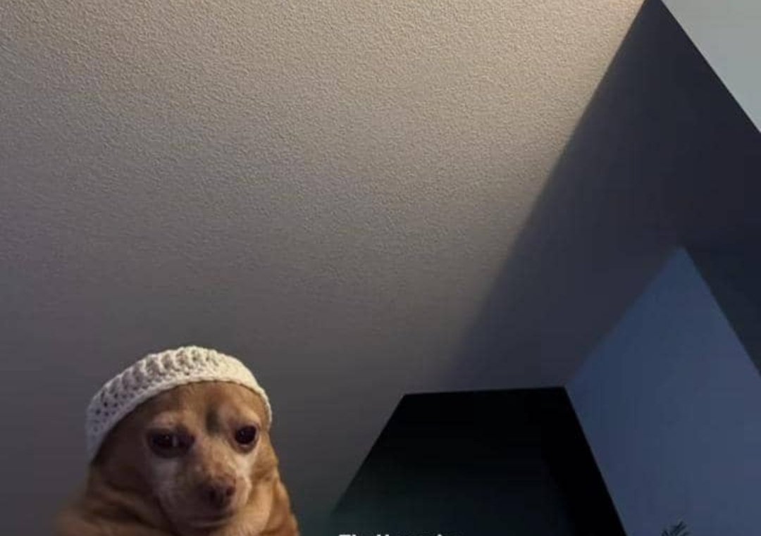 Big week tomorrow for <a href="/MagicNewton/">Newton</a>  believers.  How seated are you?

Gnewt