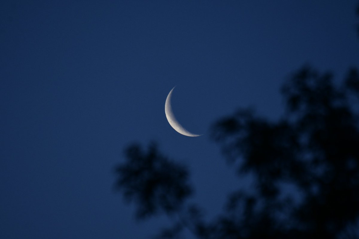 Chris Jones (@jonesy1007) on Twitter photo Sunday's moon at 4am, a waning crescent, 15% lit
#moonhour
#moon
<a href="/MoonHourSocial/">#MoonHour™️Social</a>
<a href="/ThePhotoHour/">#ThePhotoHour</a> Sunday's moon at 4am, a waning crescent, 15% lit
#moonhour
#moon
<a href="/MoonHourSocial/">#MoonHour™️Social</a>
<a href="/ThePhotoHour/">#ThePhotoHour</a>