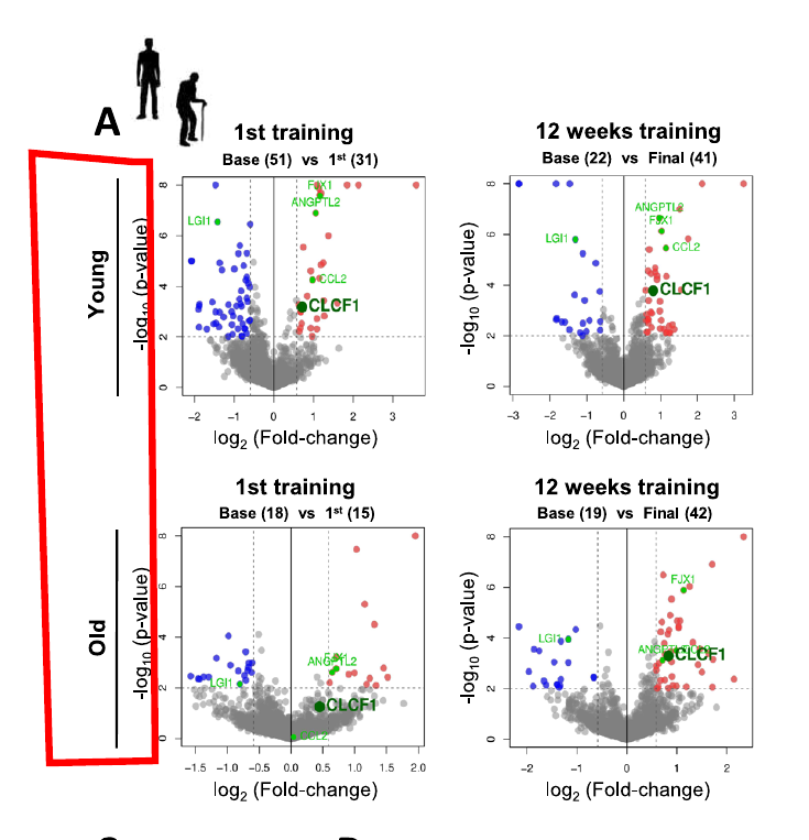 Rohan Paul tweet media
