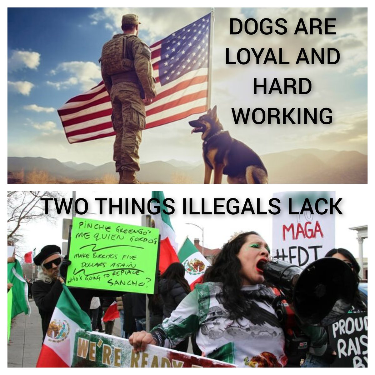 koda (@kodascabin1) on Twitter photo 