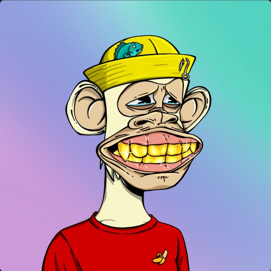 cyberbu11.sol (@cyberbu11) on Twitter photo <a href="/FUDBULLY/">CRYPTO BRO</a> <a href="/BoredApeSolClub/">Bored Ape Solana Club</a> <a href="/PartyDAO_BASC/">Party DAO - Bored Ape Solana Club</a> <a href="/BoredApe_Solana/">BoredApe.Sol</a> <a href="/BClub86765/">Bored Ape Solana Club</a> Smart bro, I did the same when I started and lost this guy. I have him locked away for 3 years now!! <a href="/FUDBULLY/">CRYPTO BRO</a> <a href="/BoredApeSolClub/">Bored Ape Solana Club</a> <a href="/PartyDAO_BASC/">Party DAO - Bored Ape Solana Club</a> <a href="/BoredApe_Solana/">BoredApe.Sol</a> <a href="/BClub86765/">Bored Ape Solana Club</a> Smart bro, I did the same when I started and lost this guy. I have him locked away for 3 years now!!