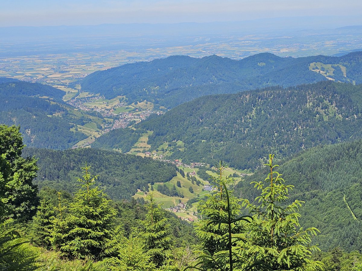 wetterkoess's tweet photo. Aufgrund der #Hitze war Wandern nur im Gipfelbereich möglich, hier rund um den #Belchen (1414m) mit Blick ins Oberrheintal
#Hochschwarzwald https://t.co/mzIEBcGGZ9