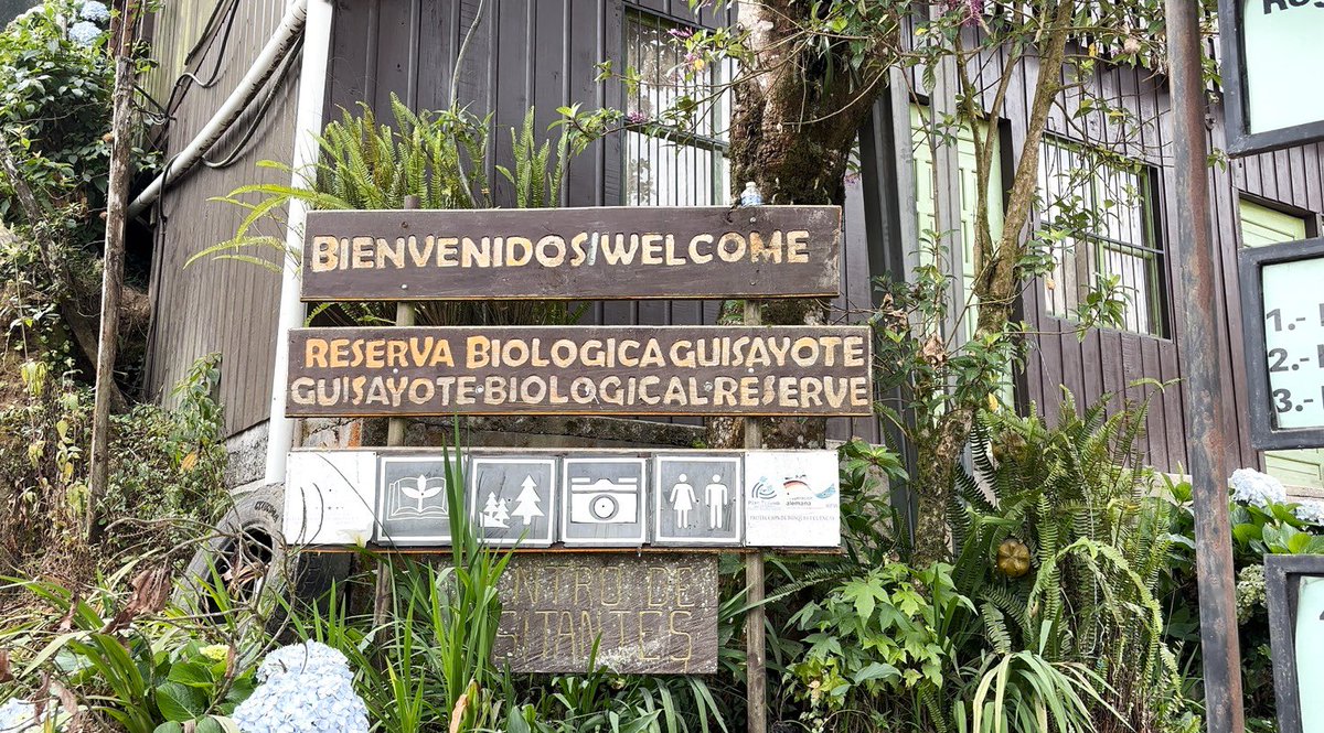 Embajada de Alemania en Honduras (@alemaniaenhn) on Twitter photo En el #DíaInternacionalDeLosBosquesTropicales te contamos que 🇩🇪, vía <a href="/KfW_en_CA/">KfW Centroamerica</a>, apoya en la protección y conservación de la Reserva de Biósfera #Trifinio en Honduras🇭🇳, El Salvador🇸🇻y Guatemala🇬🇹.
🌿13.000 ha protegidas
👥6.000 beneficiari@s
#AlemaniaConHonduras y Centroamérica En el #DíaInternacionalDeLosBosquesTropicales te contamos que 🇩🇪, vía <a href="/KfW_en_CA/">KfW Centroamerica</a>, apoya en la protección y conservación de la Reserva de Biósfera #Trifinio en Honduras🇭🇳, El Salvador🇸🇻y Guatemala🇬🇹.
🌿13.000 ha protegidas
👥6.000 beneficiari@s
#AlemaniaConHonduras y Centroamérica