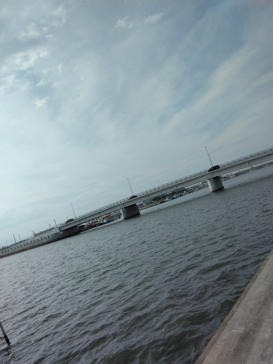swee24myswee2's tweet photo. #閖上
#麺活
#温泉
#なとりん号 
暑さ厳しい仕事後、目の前の閖上行バスにフラリと乗ってトマト山盛りの中華そば食べて温泉でまったり～皆でワイワイも楽しいけどアドリブ独り行動もたまには良いね。
HACHIの中華そば、味変アイテムの辣油が美味しかったです。
真新しい閖上大橋がセンチメンタル https://t.co/3uvG5ntv52
