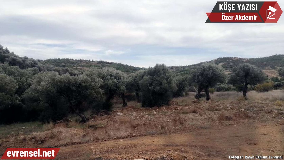 TBMM Komisyonunda ve Nevşin Mengü’nün programında “Madenlerin çıkarılabilmesi için zeytinler taşınabilir” diyen ‘bilim insanı’ maden şirketlerine ücreti karşılığı zeytin raporu hazırlamış!

✒️ Özer Akdemir yazdı

evrensel.net/yazi/97178/zey…