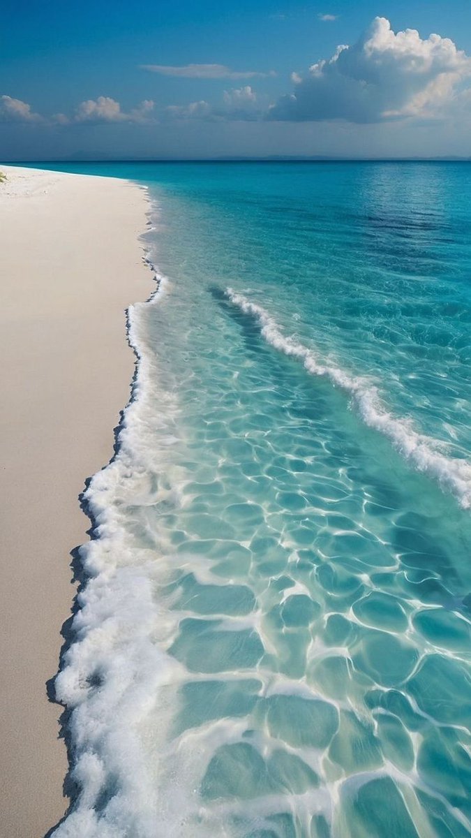 FLORA (@floraaaa_11) on Twitter photo 