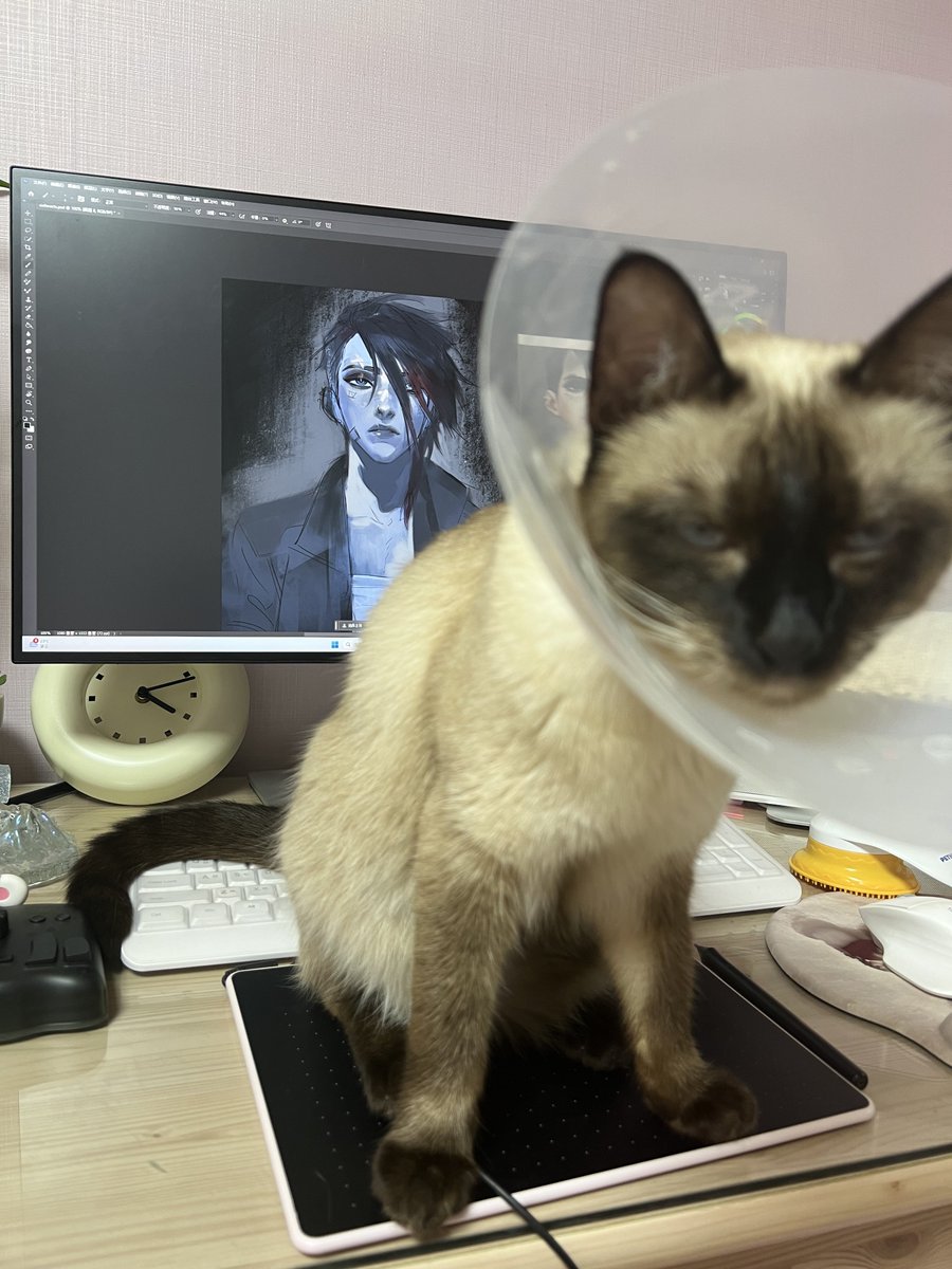 ᴴᴼᴺᴳ tweet media