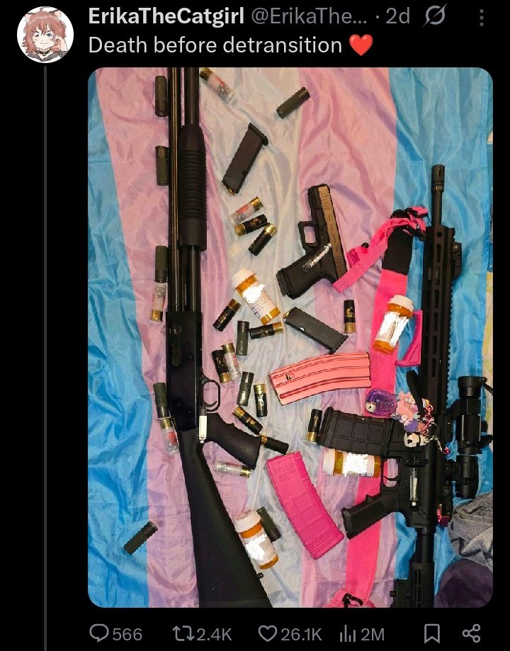 Internet_TLCM's tweet image. Hot Take: People with suicidal tendencies should not have guns.