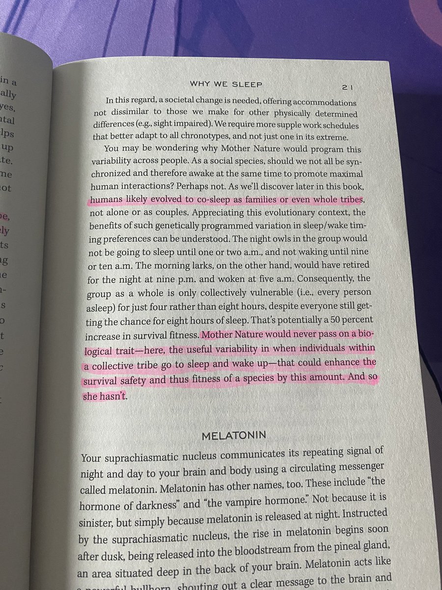 Should I just accept my fate?🦉