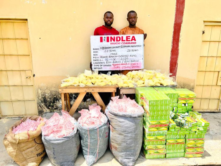 NDLEA seizes over 1 million opioid pills in Bauchi, intercepts cannabis, meth in Kaduna, Abuja  -  nairametrics.com/2025/06/22/ndl…