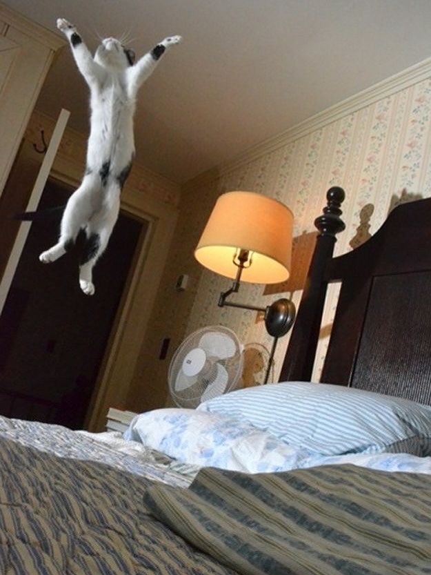good morning gang