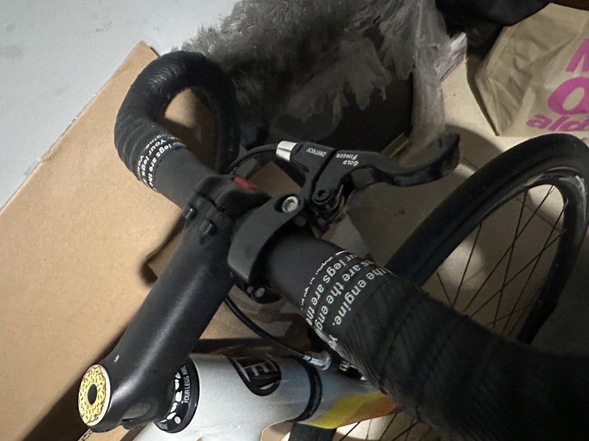 vittorino tweet media