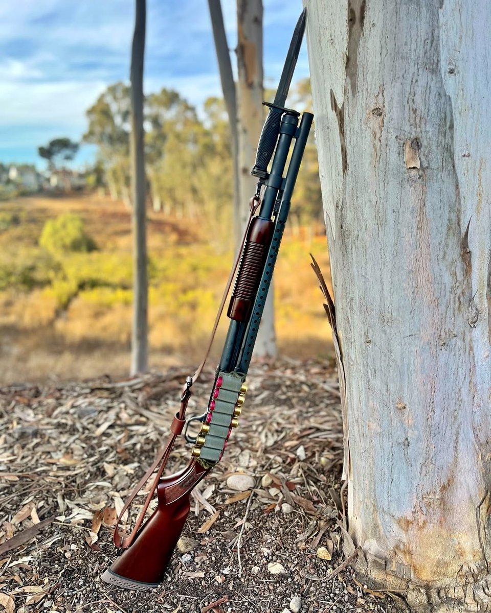 Mossberg tweet media