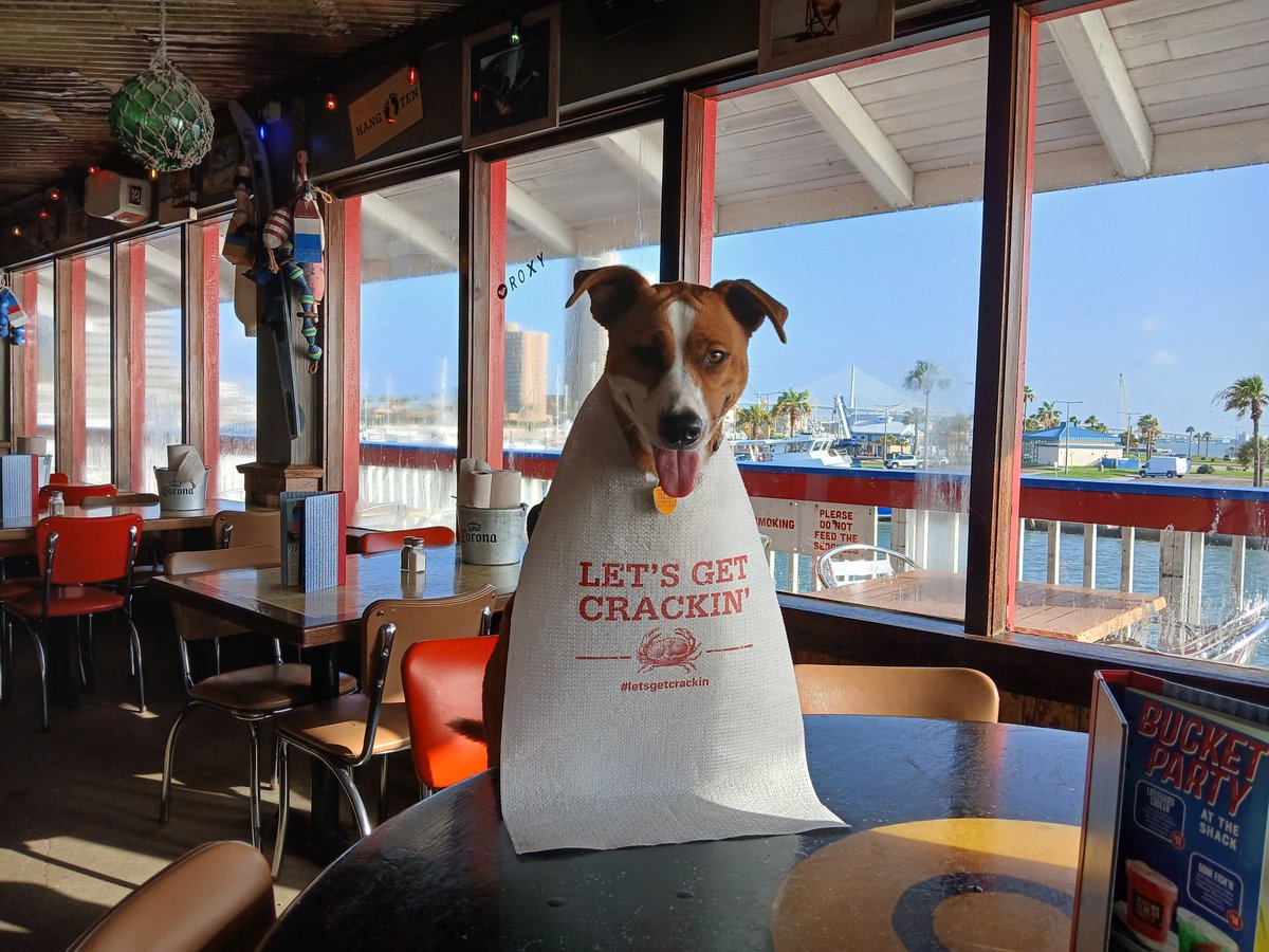 Lindsey at Joe's Crab Shack about to destroy some sea food 🤣🤣🤣