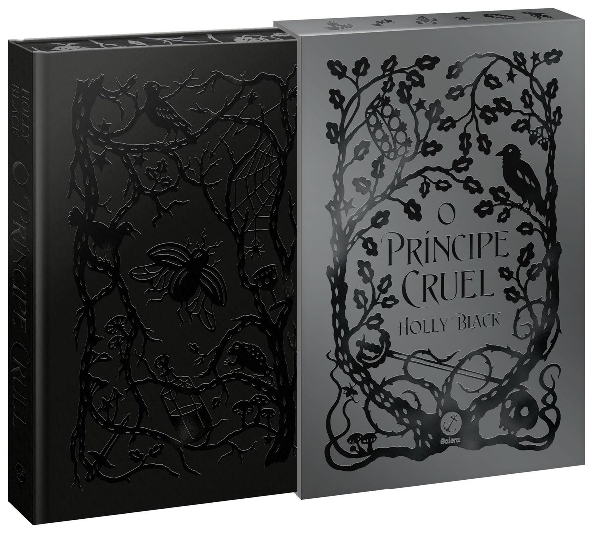 📍Edição luxo de O Príncipe Cruel estará por R$50 no estande da Record na Bienal HOJE!