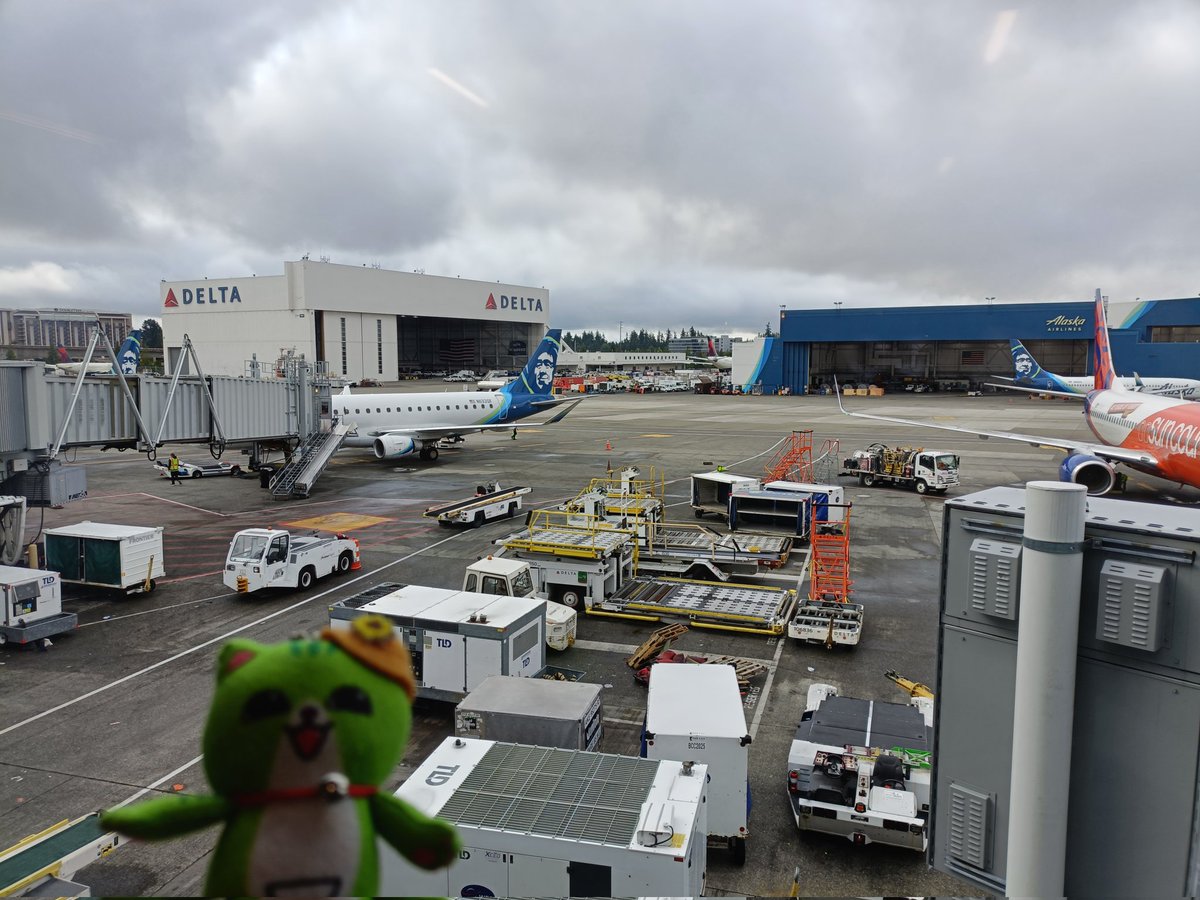 1週間毎日通ったシアトル空港も見納め。来年北中米ワールドカップのスタジアムはどこになるかにゃあ？😸