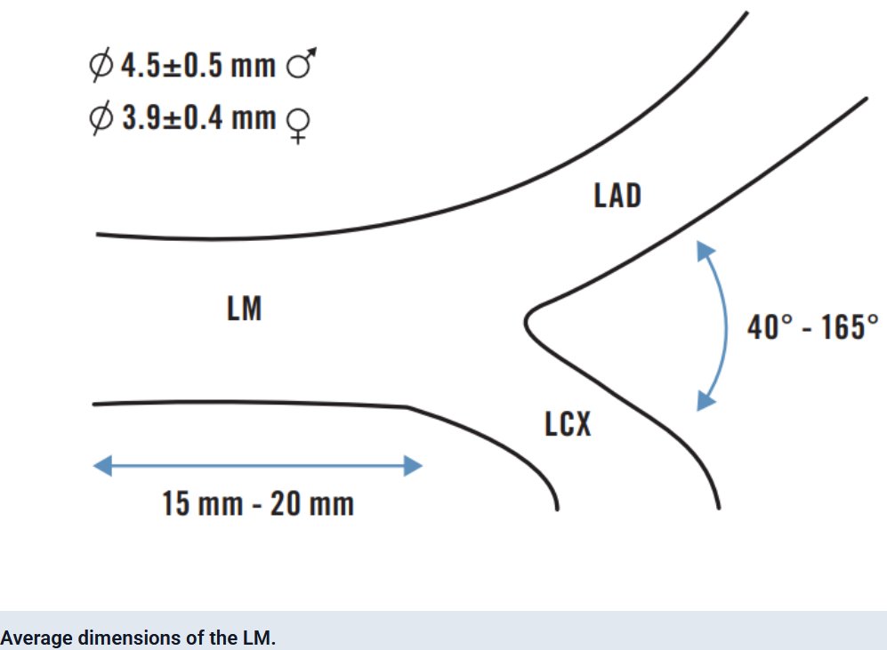 PCRonline 🫀 (@pcronline) on Twitter photo PCR #EAPCI Textbook: Left main coronary artery disease
📕textbooks.pcronline.com/the-pcr-eapci-…
This newly updated chapter - written by F.J. Neumann, JJ Coughlan , Adrian Banning, Fernando Alfonso, Martin Czerny, <a href="/robebyrne/">Robert Byrne</a> & Adnan Kastrati - reviews the management of LM coronary disease, PCR #EAPCI Textbook: Left main coronary artery disease
📕textbooks.pcronline.com/the-pcr-eapci-…
This newly updated chapter - written by F.J. Neumann, JJ Coughlan , Adrian Banning, Fernando Alfonso, Martin Czerny, <a href="/robebyrne/">Robert Byrne</a> & Adnan Kastrati - reviews the management of LM coronary disease,