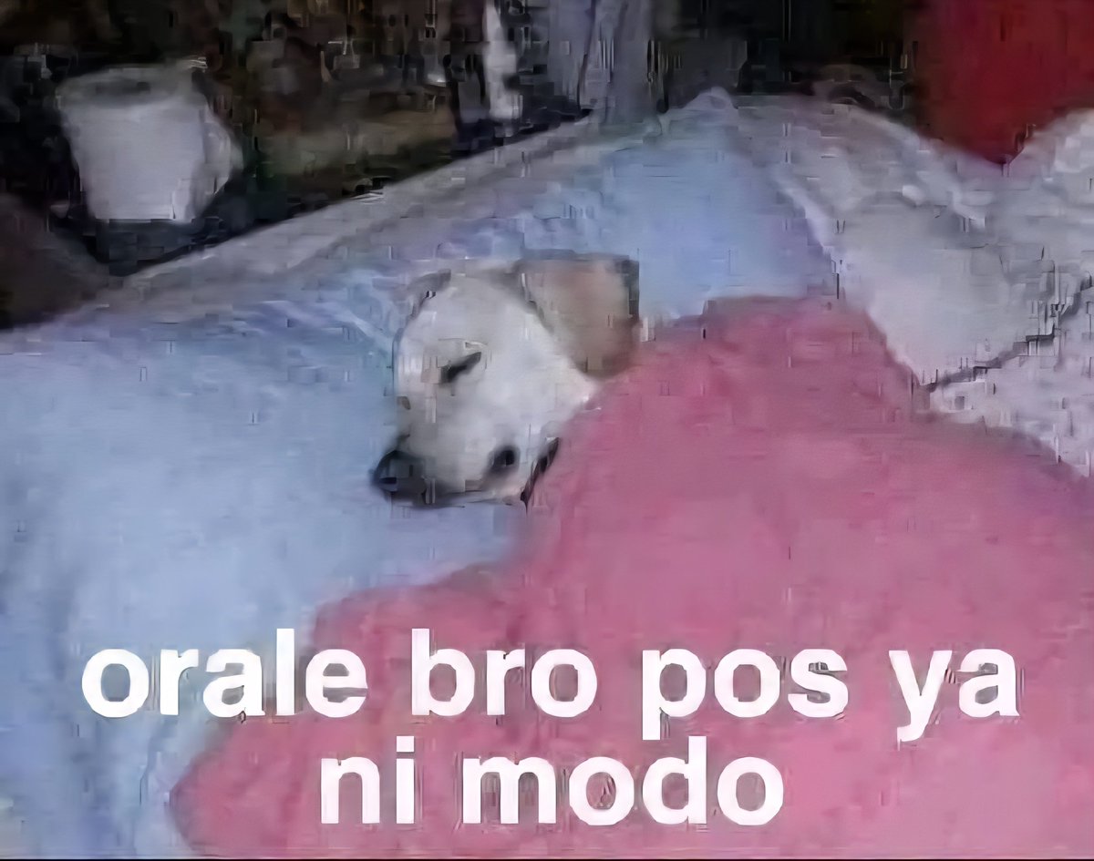 El perro tweet media