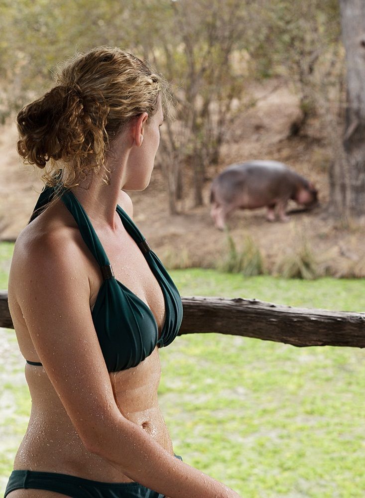 BushSpa_Zambia's tweet photo. The path to true relaxation often involves a gentle walk on the wild side. Our spa isn't just a building; it's an immersive journey into tranquility, nestled deep within Zambia's vibrant bush. You might even spot a curious creature en route! #JourneyToWellness #WildPath #Zambia https://t.co/7jZ1EJuzMN