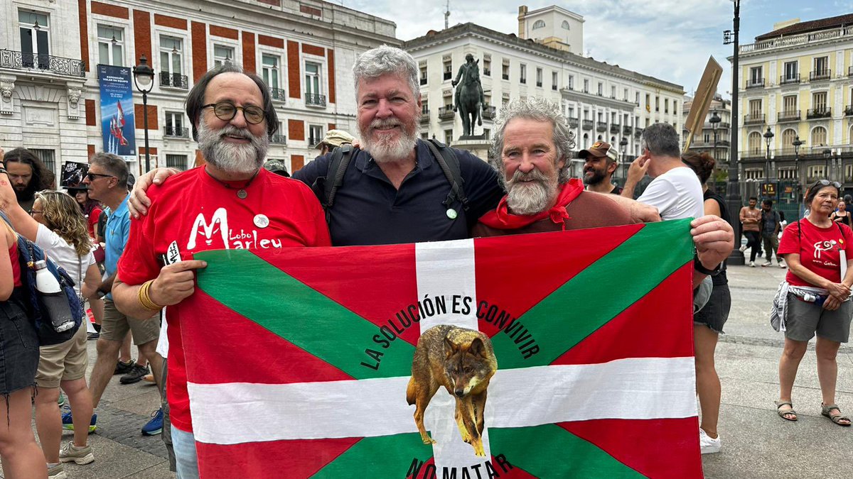 En Euskadi también persiguen al lobo a pesar de que hay muy pocos ejemplares. De hecho no se hubiera podido desproteger sin la complicidad del PNV y EHBildu. Por eso también decimos #lobovivo #loboprotegido
