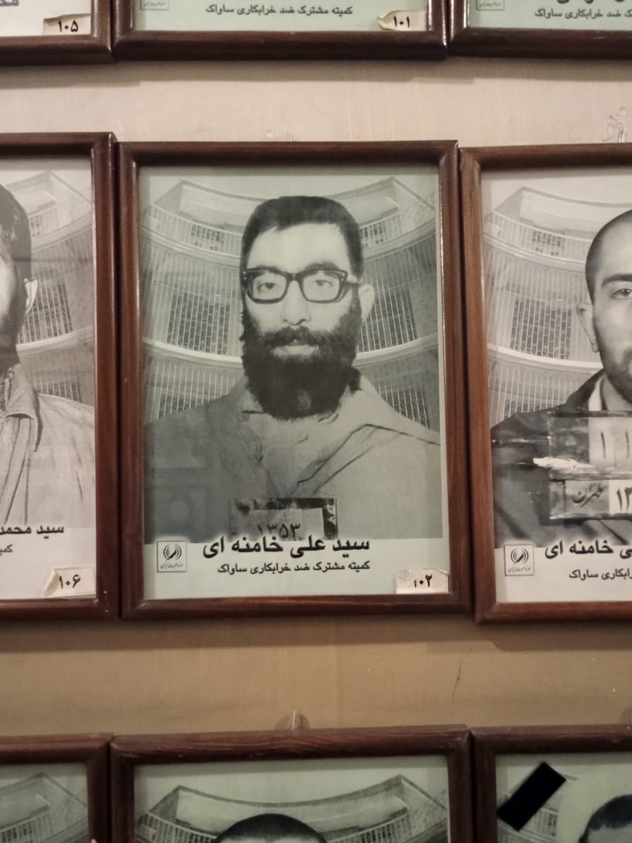 Louis Allday tweet media