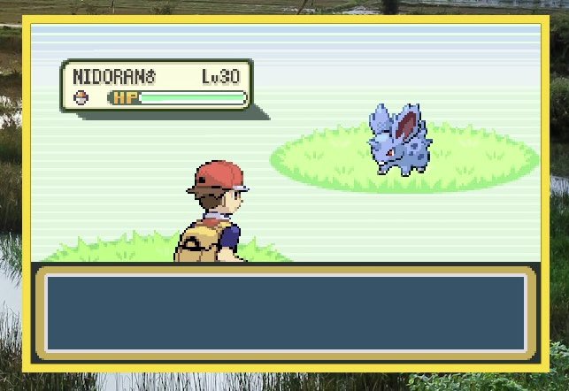 king_sludge's tweet photo. ‘nother Nidoran in the FRLG Safari in 9617 REs #safariweek #safariweek2025 #shinypokemon #fullodds https://t.co/nJJeDYDHqU