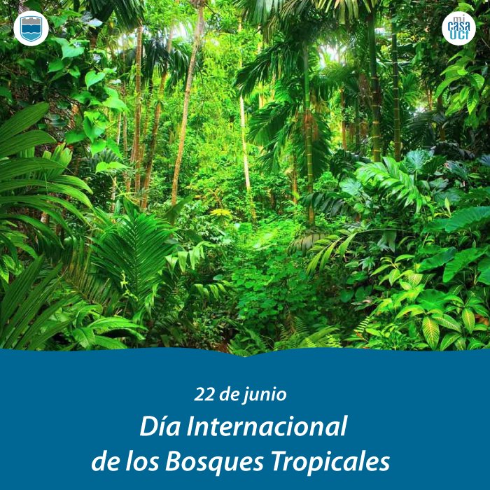 ▶ Estos son #ecosistemas fundamentales para la #vida en el #planeta, los cuales contribuyen en la absorción del dióxido de carbono de la atmósfera, de manera que adquieren una gran importancia para la conservación del #MedioAmbiente.

#SomosUCf #OrgulloUCf #UniversidadCubana