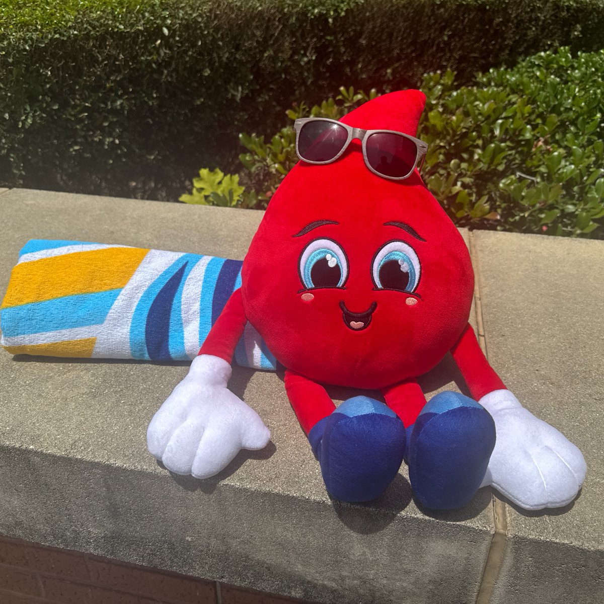 ☀️ Ready, set, summer!
Donate blood at a mobile drive or blood center near you today and snag a limited-edition beach towel—Buddy’s already got his. Don’t miss out! bit.ly/DonateCBC