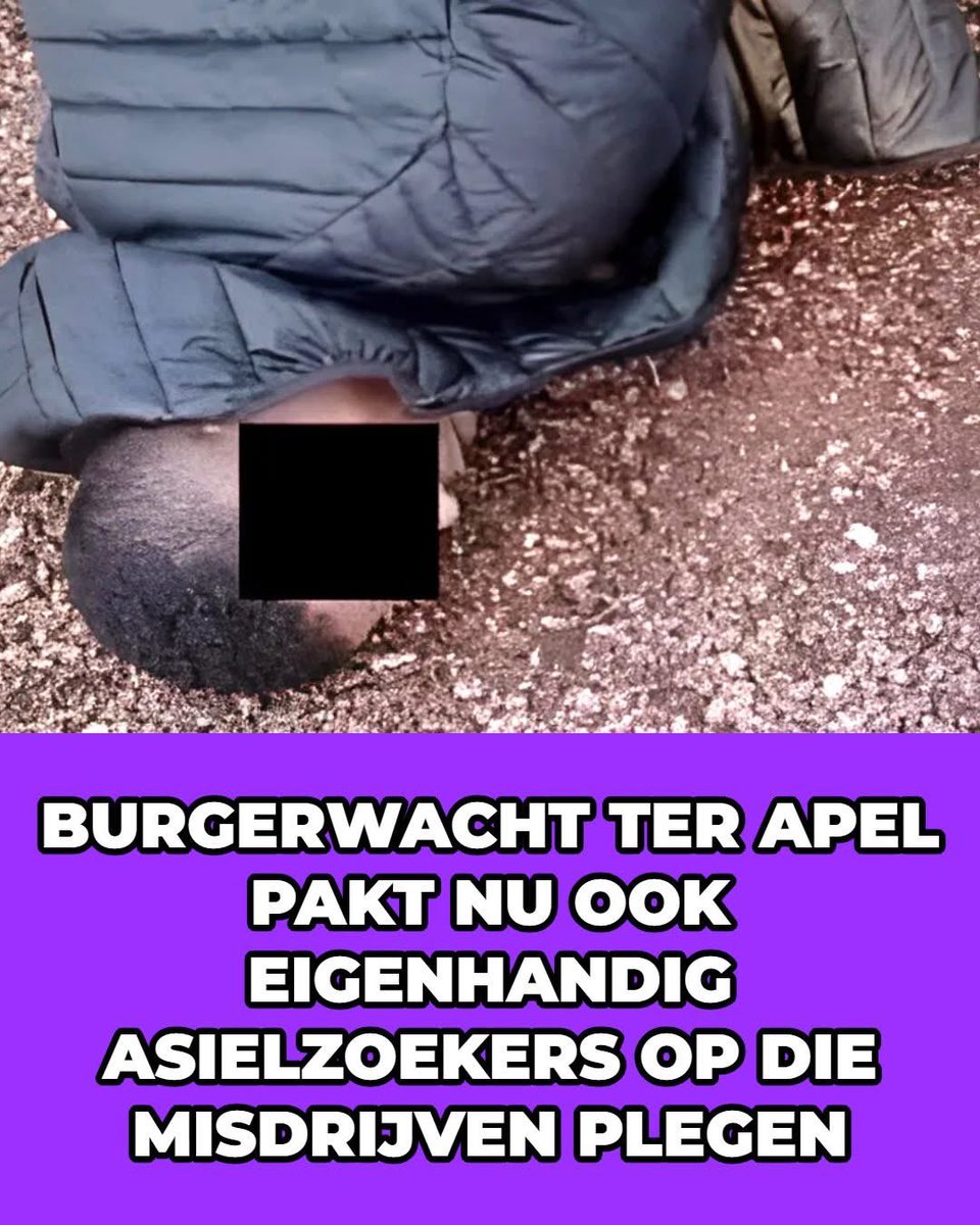 Goed bezig Jan…neem ze te grazen,ze horen hier niet!