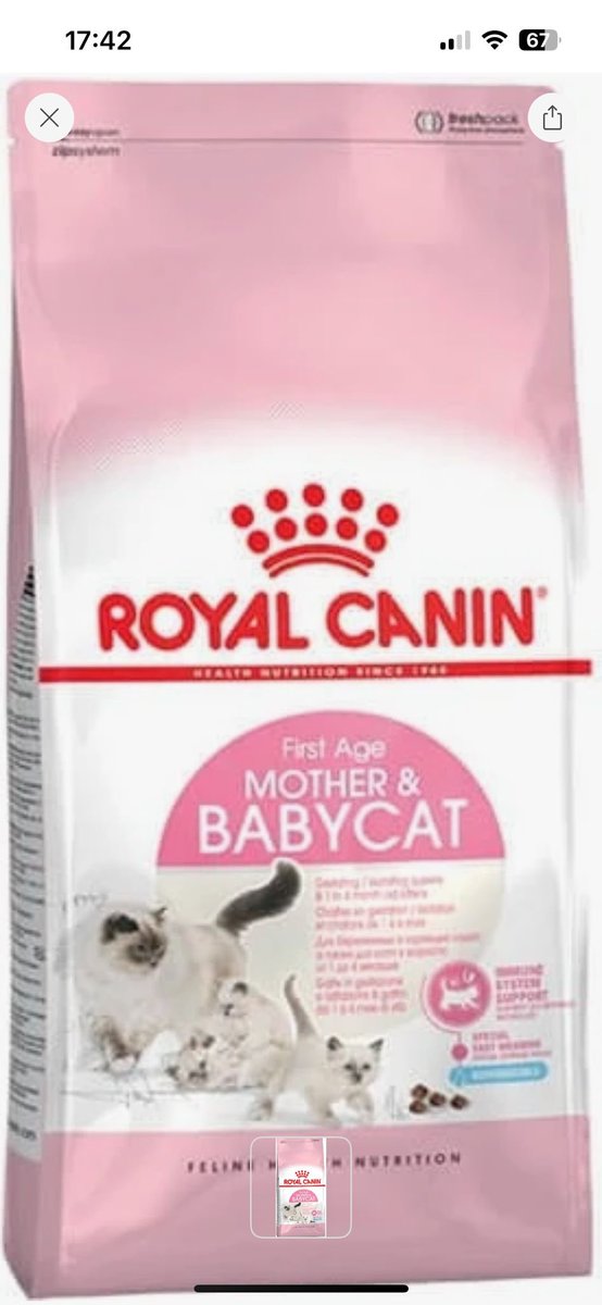 Bacağı kırılmış bir parkta hareket edemeden ölümü bekliyordu. Kırığı için ameliyat oldu ancak sokakta çiftleşmiş. bacağındaki pin çıkmadan doğum yapacak. Bu süreçte kaliteli beslenmesi gerekiyor zaten başına gelmeyen kalmadı. Ona mama yollamak isteyen çıkar mı? Adres vereceğim