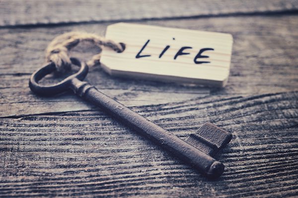 EJinAction's tweet image. “When life becomes as disposable as a trigger pull or a bomb drop, we are no longer a society — we are a machine built for mourning. But every march, every mural, every melody is proof we haven’t surrendered our soul.” ©️MustafaSantiagoAli #Life #Healing #Humanity