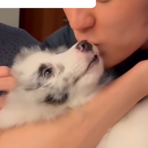 หมะมี๊จุ๊บตงนี้หรอ                 งั้นปะป๊าจุ๊บมั่ง😘