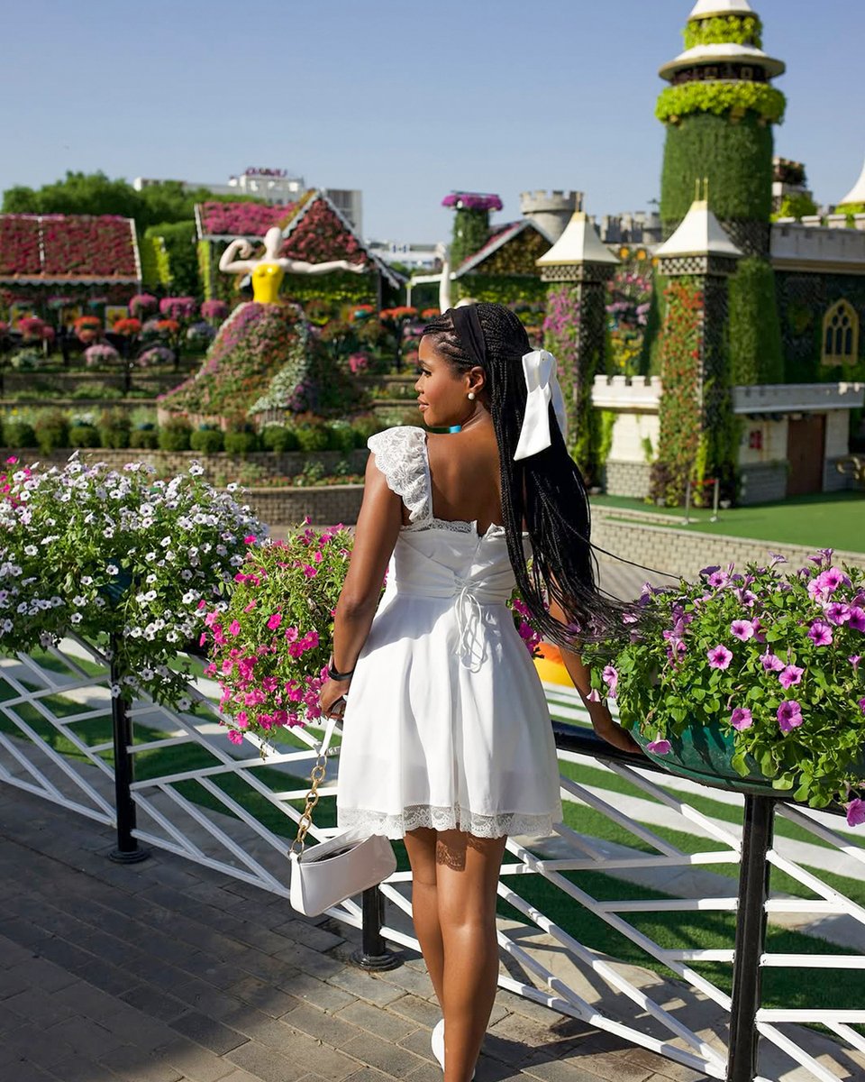 Dubai Miracle Garden tweet media