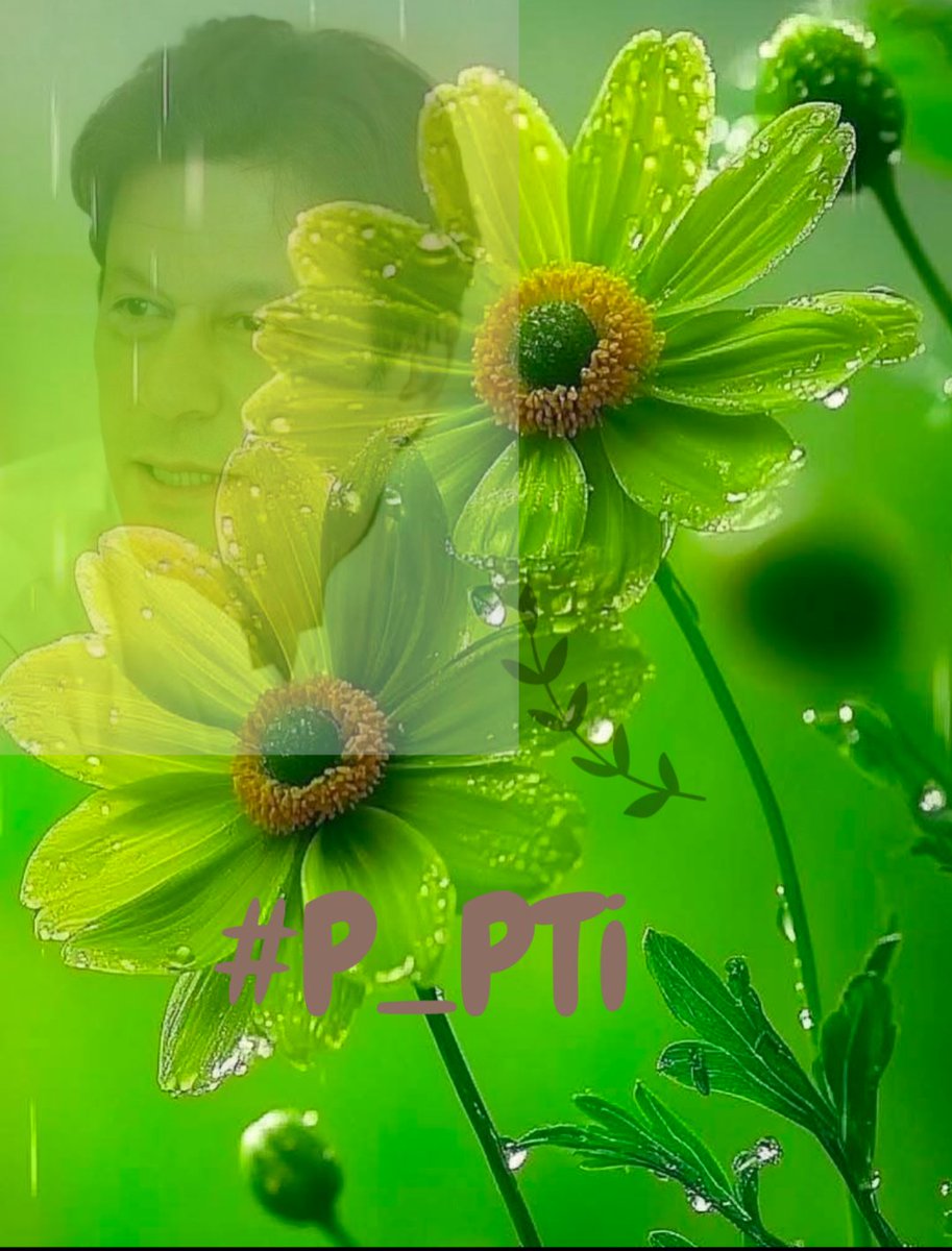Daniyal (@dni_40) on Twitter photo 🄵🄾🄻🄻🄾🅆
#P_PTi <a href="/NM2k__/">ıllıllı 🌸 N͙E͙E͙N͙A͙H͙ 🌸 ıllıllı</a>
🅱️ 22
<a href="/MNPTi1/">𝟏.𝟐𝐌👑⃟≛⃝𝔐𝔲𝔫𝔰𝔦𝔣🕊️⃟⋆ ابوسلم ≛⃝🔶</a>
<a href="/As_t40/">𝐀 𝐒𝐚𝐭𝐭𝐚𝐫</a>
<a href="/P_PTi3/">𝐌_𝐏𝐭𝐢 _🆇 𝐏𝐑𝐎𝐌𝐎𝐓𝐄𝐑</a>
<a href="/skiii7i/">S khan</a>
<a href="/553ik/">🌺*𝙈𝙎 ೖ•💗ೖ𝙋𝙏𝙞.• '*🌺.ೖ</a>
<a href="/4mir_8/">Aamir Hayat Awan</a>
<a href="/Y22NY/">YASEEN</a>
<a href="/TipuS1_/">Tipu Sultan ᴾᵃᵏᴾᵒʷᵉʳ</a>
<a href="/Jess_e1_/">JESSE✨️</a>
<a href="/shZ447/">𝕊𝕙𝕒𝕙𝕫𝕒𝕕 𝕄𝕦𝕟𝕚𝕣</a>
<a href="/__Alan2/">ALAN 👑</a>
<a href="/b_ngsh12/">ALI Khan Bangash 🦌</a>
<a href="/00munsif/">#𝐏_𝐏𝐓𝐢 🔄 𝐌𝐮𝐧𝐬𝐢𝐟 𝐀𝐥𝐢</a>
@b7973600
<a href="/zubm9231/">ZUBAIR Muhammad</a>
<a href="/Noshii_786/">꧁𝓝𝓸𝓼𝓱𝓮𝓮𝓷꧂ᵀᵉᵃᵐˢᵒᵏ</a>
@Baaghi_786
<a href="/Teller_23360/">چھوٹا کپتان 🕴️</a>
<a href="/Nosheen__786/">𝕹𝖔𝖘𝖍𝖊𝖊𝖓 #𝕻_𝕻𝕿𝖎</a>
<a href="/Khan_warriors1/">HURAIN KHAN 🫶</a>
@MChyps84964
<a href="/AZEEMVIRK30/">AZEEM VIRK</a>
<a href="/ShaguftaMansoo9/">Mrs.SM</a> 🄵🄾🄻🄻🄾🅆
#P_PTi <a href="/NM2k__/">ıllıllı 🌸 N͙E͙E͙N͙A͙H͙ 🌸 ıllıllı</a>
🅱️ 22
<a href="/MNPTi1/">𝟏.𝟐𝐌👑⃟≛⃝𝔐𝔲𝔫𝔰𝔦𝔣🕊️⃟⋆ ابوسلم ≛⃝🔶</a>
<a href="/As_t40/">𝐀 𝐒𝐚𝐭𝐭𝐚𝐫</a>
<a href="/P_PTi3/">𝐌_𝐏𝐭𝐢 _🆇 𝐏𝐑𝐎𝐌𝐎𝐓𝐄𝐑</a>
<a href="/skiii7i/">S khan</a>
<a href="/553ik/">🌺*𝙈𝙎 ೖ•💗ೖ𝙋𝙏𝙞.• '*🌺.ೖ</a>
<a href="/4mir_8/">Aamir Hayat Awan</a>
<a href="/Y22NY/">YASEEN</a>
<a href="/TipuS1_/">Tipu Sultan ᴾᵃᵏᴾᵒʷᵉʳ</a>
<a href="/Jess_e1_/">JESSE✨️</a>
<a href="/shZ447/">𝕊𝕙𝕒𝕙𝕫𝕒𝕕 𝕄𝕦𝕟𝕚𝕣</a>
<a href="/__Alan2/">ALAN 👑</a>
<a href="/b_ngsh12/">ALI Khan Bangash 🦌</a>
<a href="/00munsif/">#𝐏_𝐏𝐓𝐢 🔄 𝐌𝐮𝐧𝐬𝐢𝐟 𝐀𝐥𝐢</a>
@b7973600
<a href="/zubm9231/">ZUBAIR Muhammad</a>
<a href="/Noshii_786/">꧁𝓝𝓸𝓼𝓱𝓮𝓮𝓷꧂ᵀᵉᵃᵐˢᵒᵏ</a>
@Baaghi_786
<a href="/Teller_23360/">چھوٹا کپتان 🕴️</a>
<a href="/Nosheen__786/">𝕹𝖔𝖘𝖍𝖊𝖊𝖓 #𝕻_𝕻𝕿𝖎</a>
<a href="/Khan_warriors1/">HURAIN KHAN 🫶</a>
@MChyps84964
<a href="/AZEEMVIRK30/">AZEEM VIRK</a>
<a href="/ShaguftaMansoo9/">Mrs.SM</a>