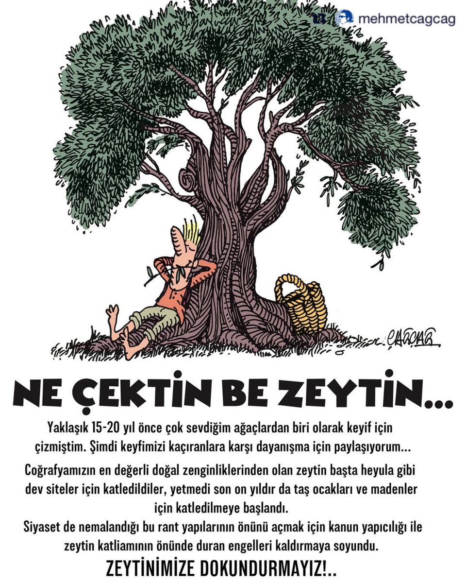 Ne çektin be zeytin.
#zeytinağacımadokunma