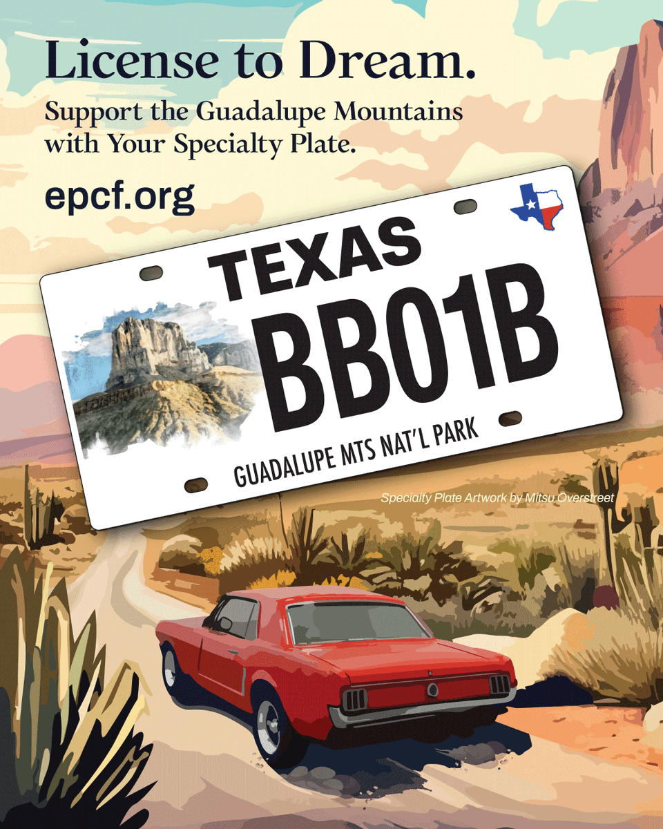 ElPasoCF's tweet photo. Get Texas specialty license plate featuring Guadalupe Mountains National Park to support preservation at the park! To get yours visit: https://t.co/EuBcaw6puY and for more info visit: https://t.co/j0b4Fa5h7x