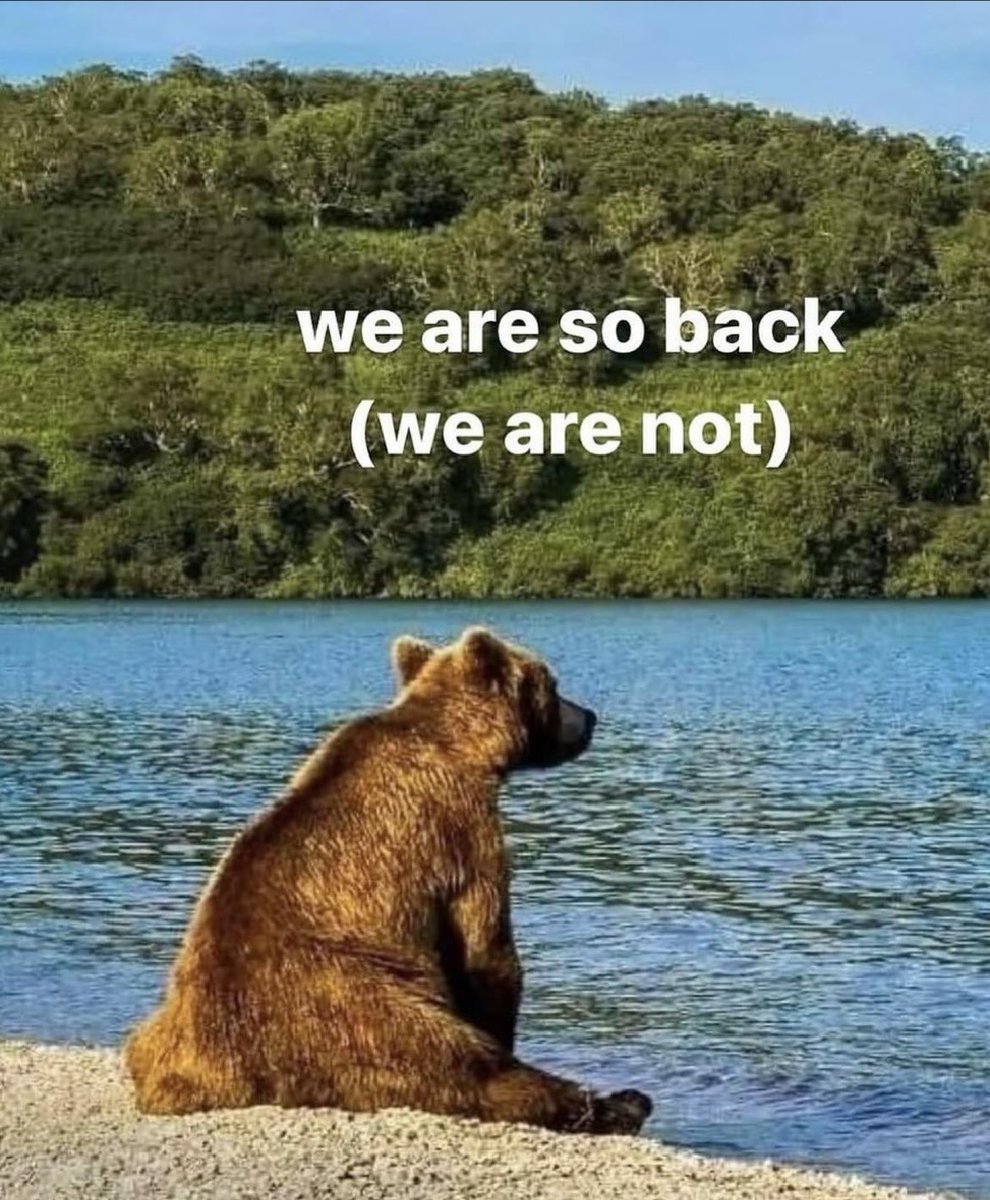 ClearCollectNFT's tweet image. Shouldn’t have opened my wallets today 😭💀