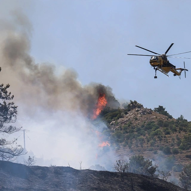 Το αντάρτικο του Ερντογάν με όπλο τους λαθρομετανάστες ξεκίνησε. Τρεις φωτιές σε διάστημα μιας ώρα σε Αγία Μαρίνα , Κοφινά και Άγιο Μακάριο στη Χίο. Ο λύκος στην αναμπουμπούλα χαίρεται .