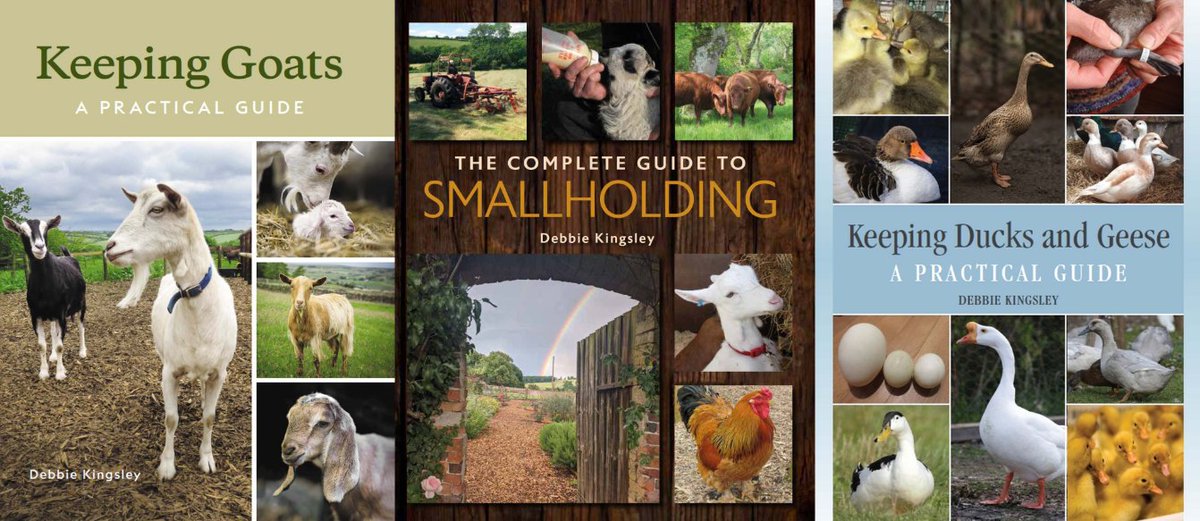 Next weekend is our last course until the autumn, but you can still do some reading if you can't wait!  
The Complete Guide to Smallholding £18.50 
Keeping Goats £18.50 
Keeping Ducks and Geese £17.50 
plus £3.35 UK postage for up to 2 books.   
smallholdertraining.co.uk/recommended-bo…