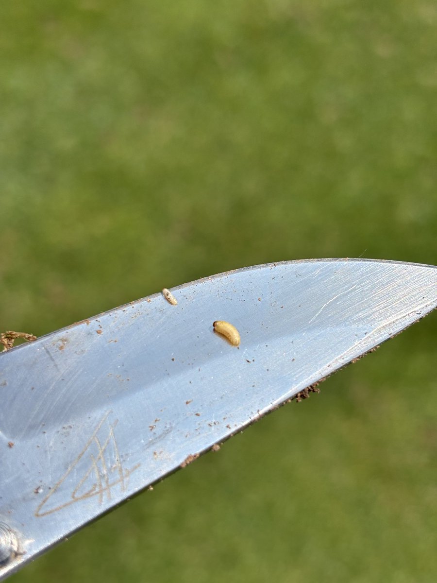 Tim Gerzabek tweet media