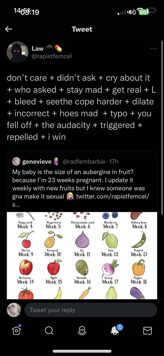 Anyone with a username including the word rapist is clearly not someone who should be interacting with women online