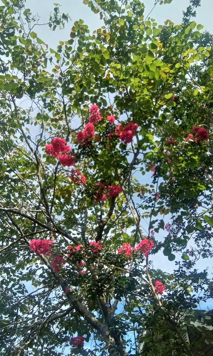 Here everything is beautiful...