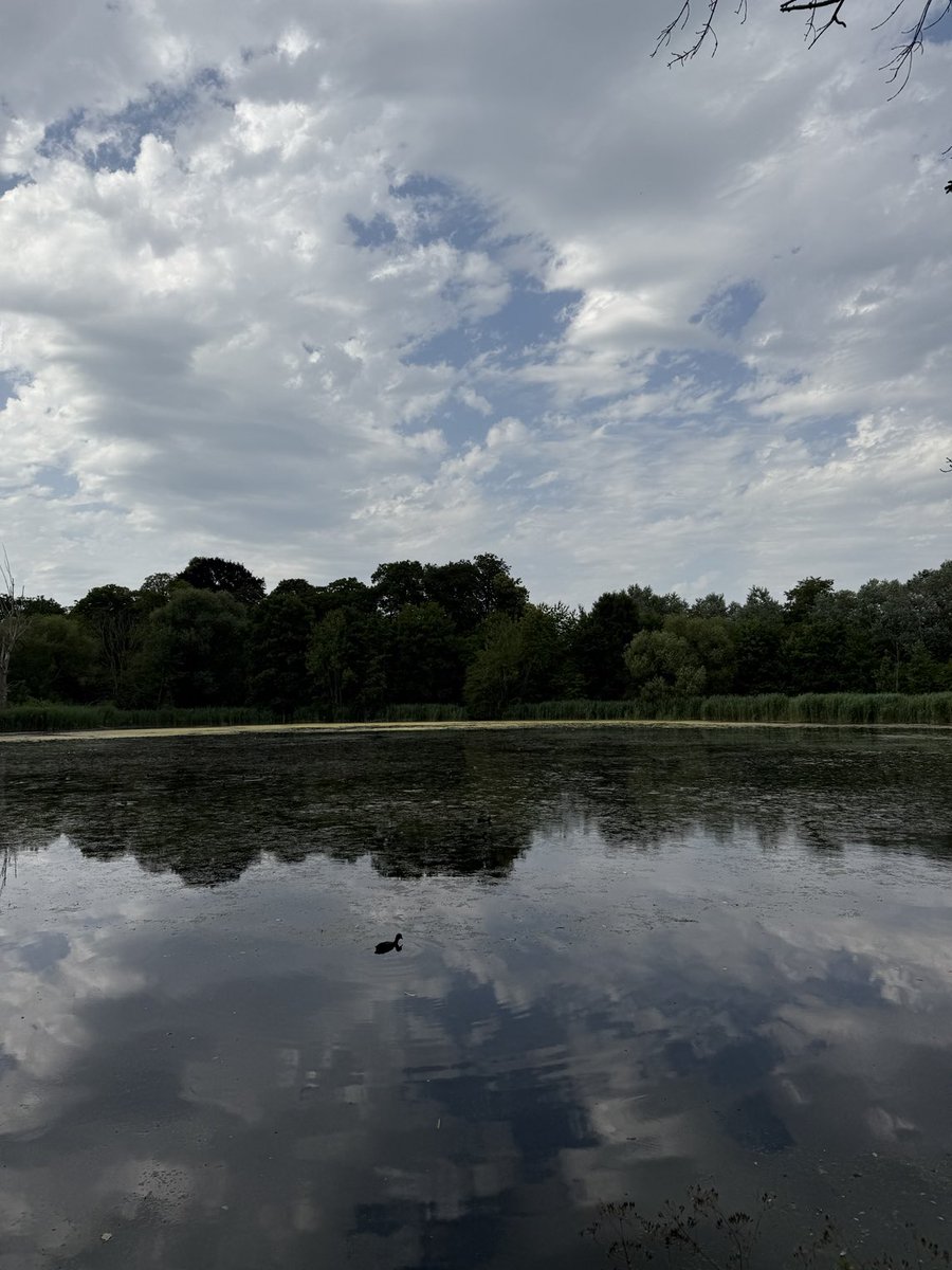 Stregalina's tweet photo. #vrtweer Heverlee 17u12 https://t.co/WU501lCCUs