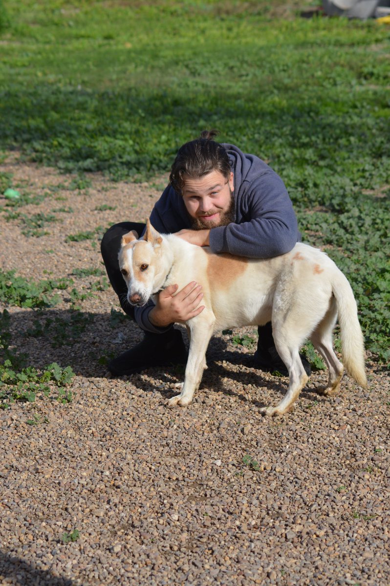 #URGENTE #BLANCA

Blanca no se lleva bien con otros perros pero con las personas es un amor. Solo quiere caricias, juegos y mimos. Para #ACOGER o #ADOPTAR  a Blanca  ⬇️⬇️

📩adopciones@elrefugioescuela.com
🌐 elrefugioescuela.com/quieres-adopta… 

#pasionporhacerlosfelices
