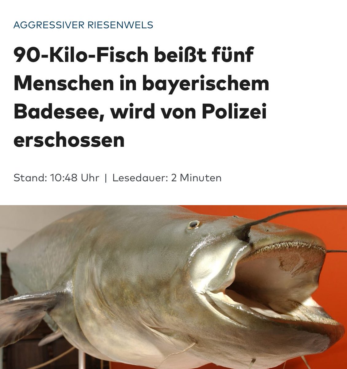 Taxiteller Fonzy tweet media