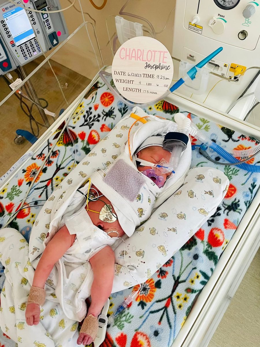 Matt Perry tweet media