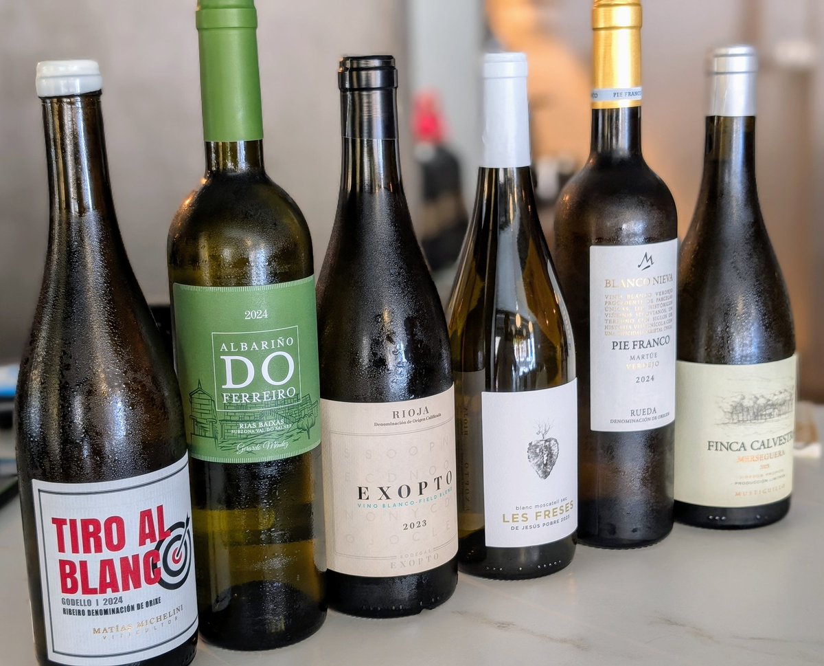 Pidieron que lleve unos blanquitos para un viaje de amigos, la cantidad de varietales blancos en España es una cosa interesante.
Sale godello, albariño, garnacha blanca, moscatel sec, verdejo y merseguera (y todavía faltan varias).